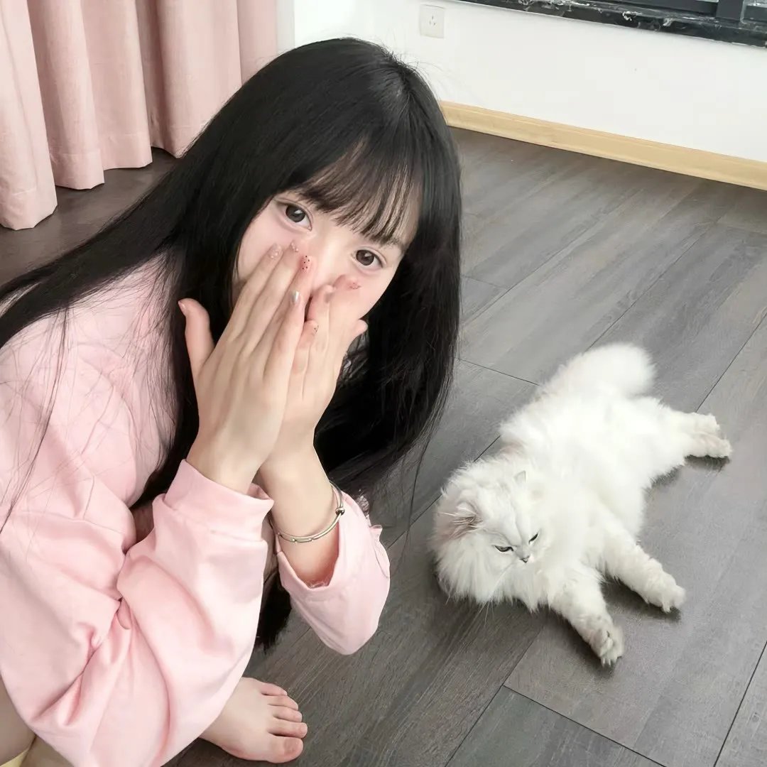 龟女士的奥德赛