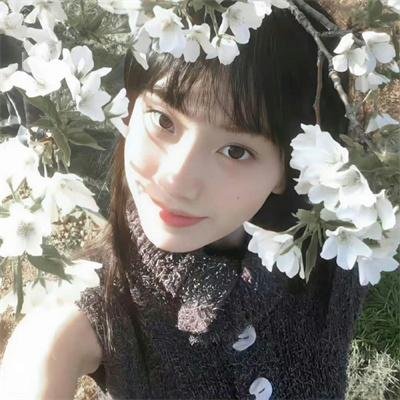 粉红色火烈鸟